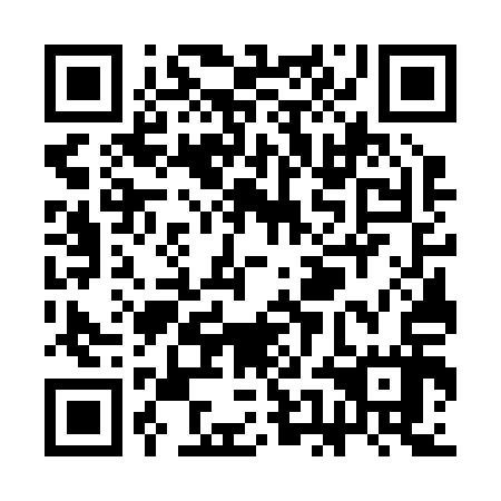 QR code for SEG 217