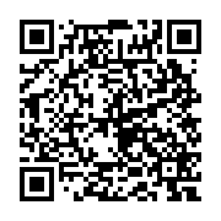 QR code for SEG369