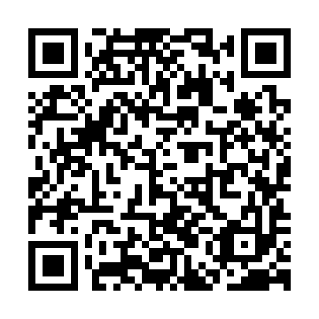 QR code for SEK 393
