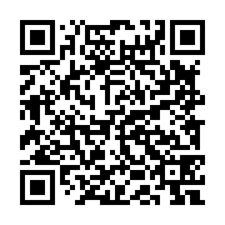 QR code for plate SEL 878