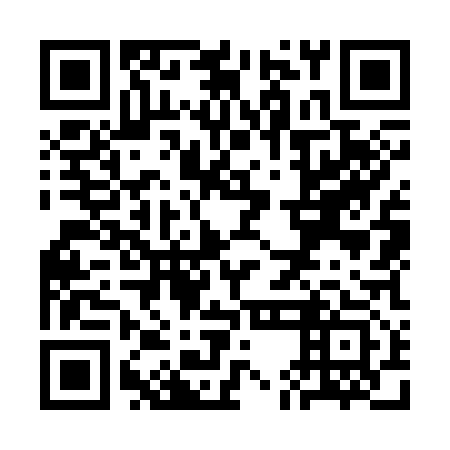QR code for SEO 313