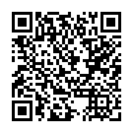QR code for SEO 333