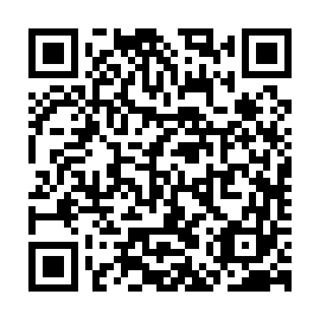 QR code for SER 163