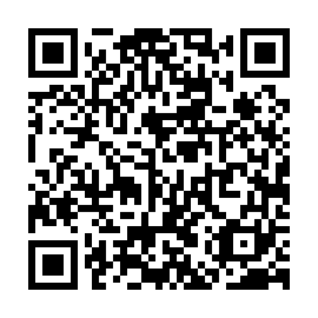 QR code for SET 161