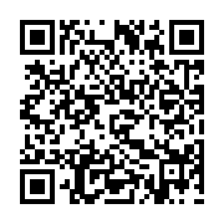 QR code for SET919