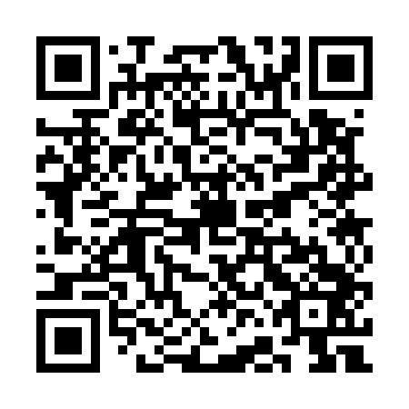 QR code for plate SFC 543
