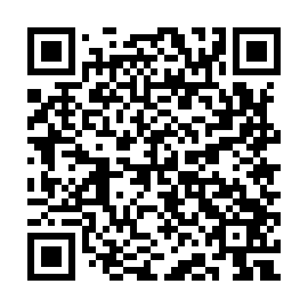 QR code for plate SFE 943