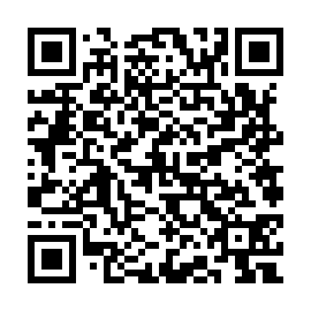 QR code for plate SFF 930