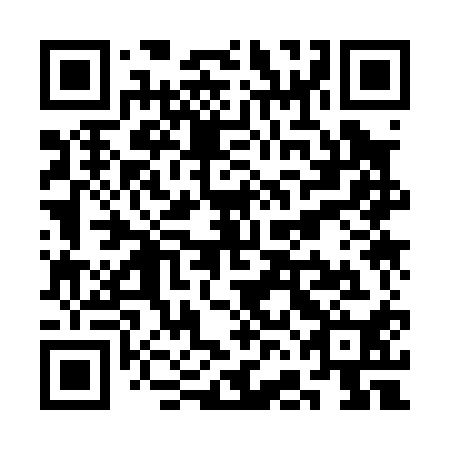 QR code for SFK 010