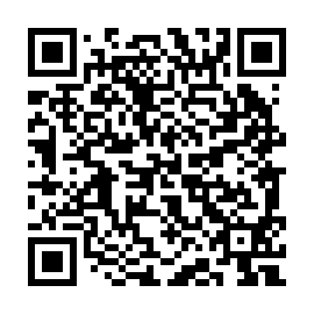 QR code for plate SFL 290