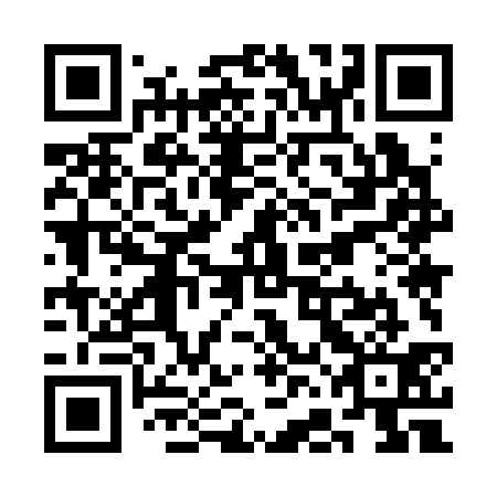 QR code for SFM 331