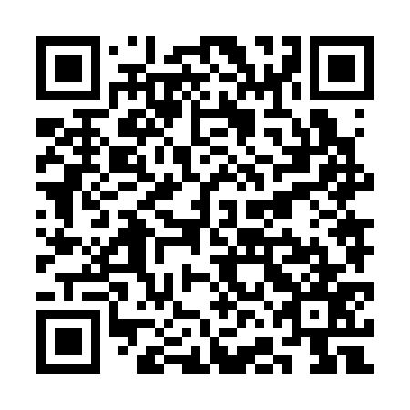 QR code for SFN 377