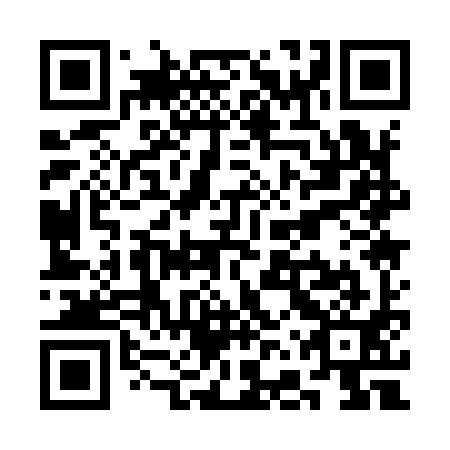 QR code for SFQ 991