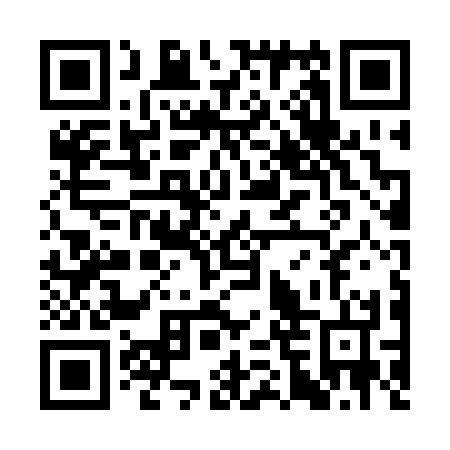 QR code for SFT 234