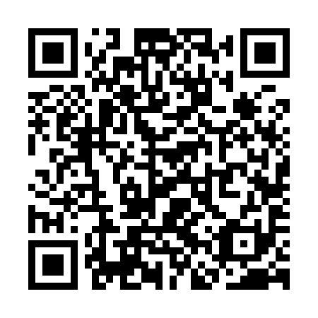 QR code for SFV991