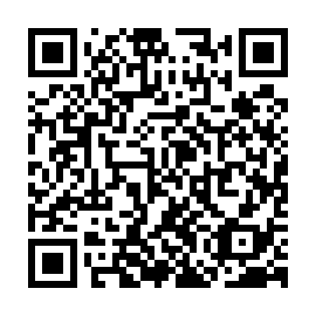 QR code for SGA538