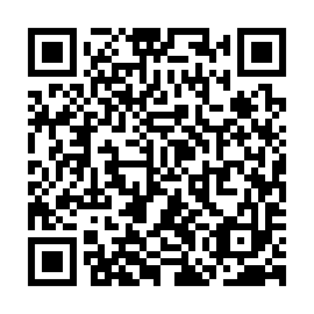 QR code for SGE 393