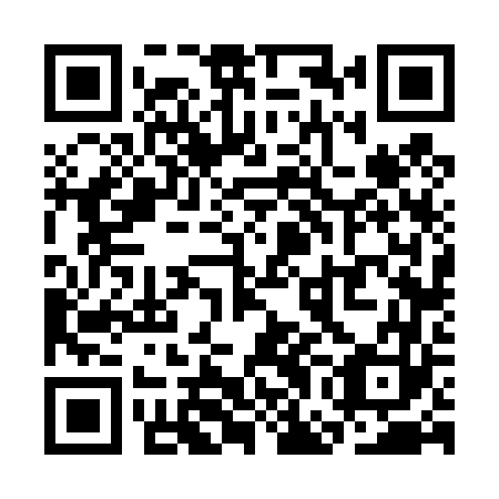 QR code for SGF 463