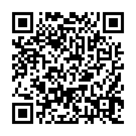 QR code for SGP 546