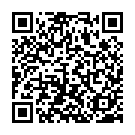 QR code for plate SGV 101