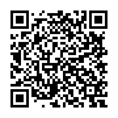 QR code for plate SHJ 813