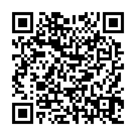 QR code for plate SHX 302