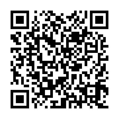 QR code for SIJ919