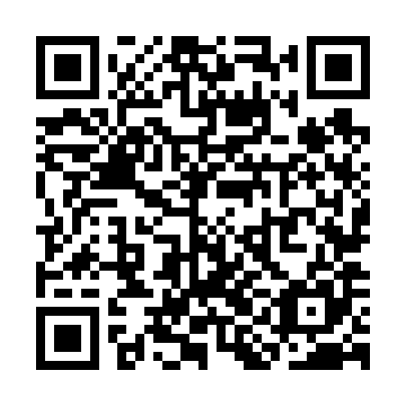 QR code for SIN685