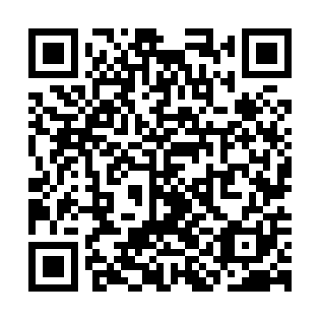 QR code for SIN801