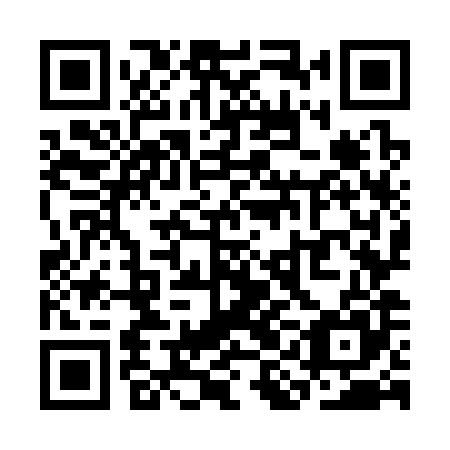 QR code for plate SIO 385