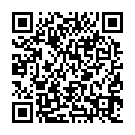 QR code for SIS 313