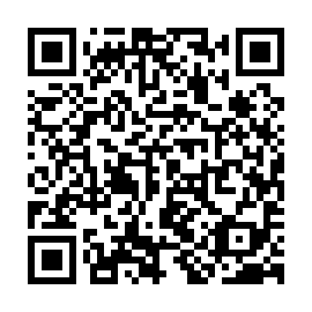 QR code for plate SIU 199