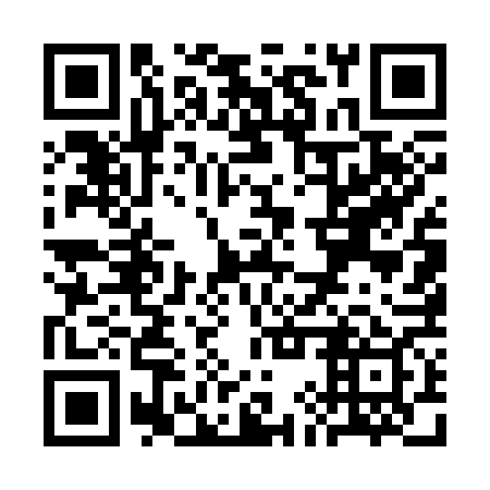 QR code for plate SIU 369