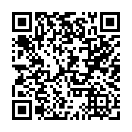QR code for SIY991