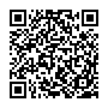 QR code for SIZ 867