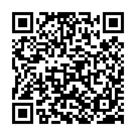 QR code for plate SJF 497