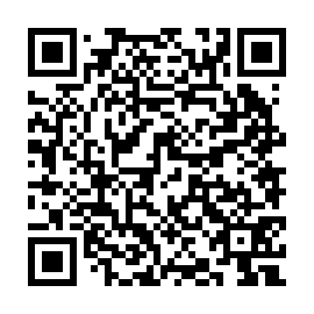 QR code for plate SJN 271