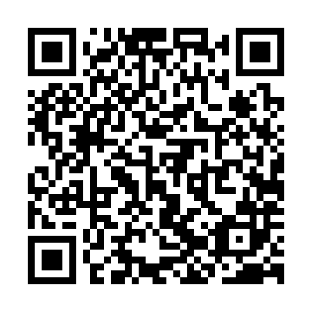 QR code for plate SJT 382