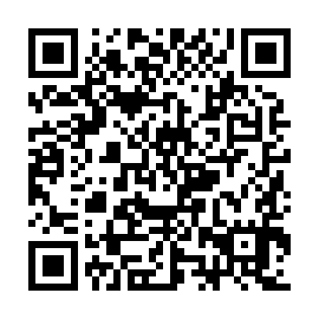 QR code for plate SJZ 895