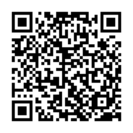QR code for plate SKI 950