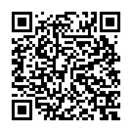 QR code for SKR374