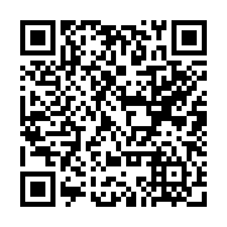 QR code for plate SKS 384