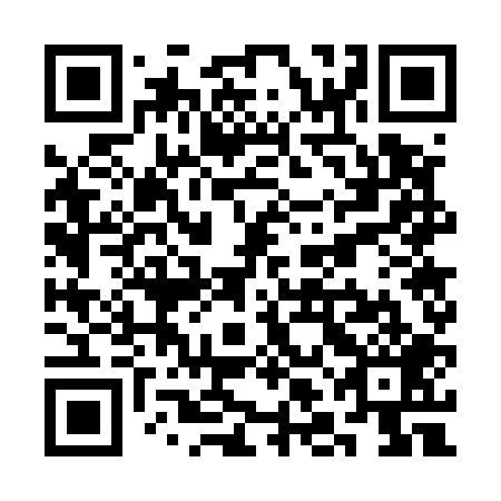 QR code for plate SLG 509