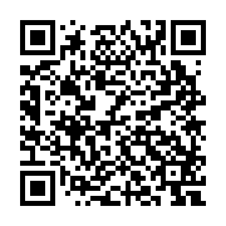 QR code for SLK 383