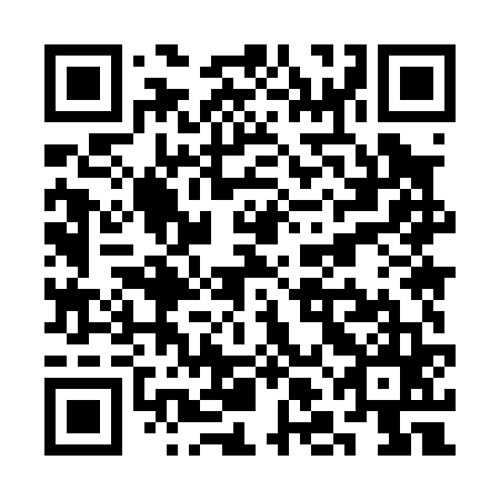 QR code for SLM 065