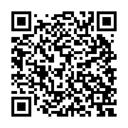 QR code for SLN203