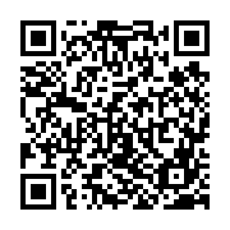 QR code for plate SLN 666