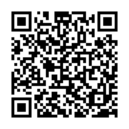 QR code for SLV293