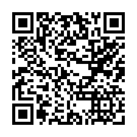 QR code for SMJ 227