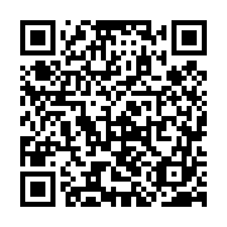 QR code for SMN 463